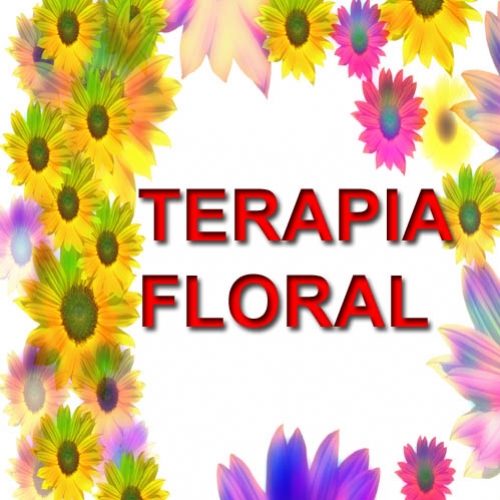 Terapia Floral